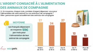 Illustration de l'article : Quand l’inflation affecte le bien-être des animaux de compagnie