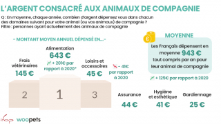 Illustration de l'article : Quand l’inflation affecte le bien-être des animaux de compagnie