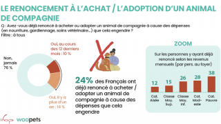 Illustration de l'article : Quand l’inflation affecte le bien-être des animaux de compagnie