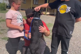 Illustration de l'article : Sans nouvelles de leur chienne depuis 2 ans, ils sont stupéfaits d'apprendre que sa puce a été détectée à 4 heures de chez eux