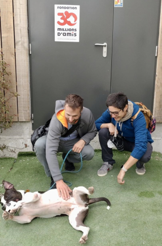 Illustration de l'article : Victime de maltraitance et de son apparence, une chienne a enfin droit à un nouveau départ après 2 années passées au refuge
