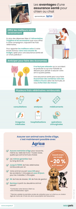 Illustration de l'article : Les avantages d'une assurance santé pour chien ou chat