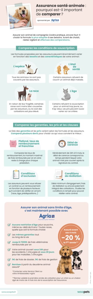 Illustration de l'article : Assurance santé animale : pourquoi est-il important de comparer ?