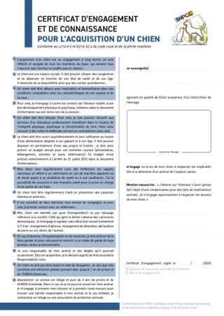 Illustration de l'article : La signature d’un « certificat d’engagement et de connaissance » est obligatoire depuis le 1er octobre pour adopter un animal de compagnie