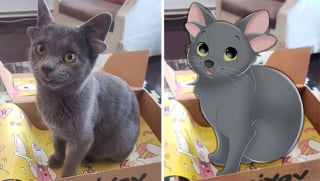 Illustration de l'article : 20 photos d'animaux transformés en personnages Disney par une artiste pleine de talent et de créativité