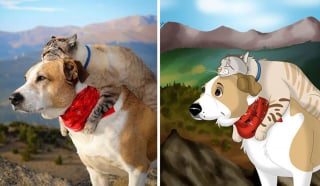 Illustration de l'article : 20 photos d'animaux transformés en personnages Disney par une artiste pleine de talent et de créativité