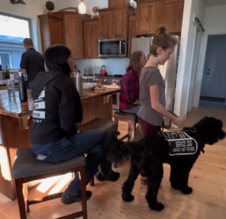 Illustration de l'article : Une fille atteinte d'une maladie rare voit sa vie changer grâce à un chien spécialisé