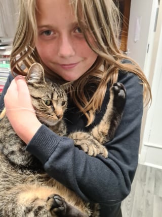 Illustration de l'article : Un chat disparaît et passe 3 semaines dans un centre de recyclage, avant de refaire surface à la surprise générale