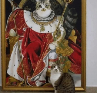 Illustration de l'article : 14 photos désopilantes de chats qui ne font décidément rien comme les autres