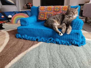 Illustration de l'article : 14 photos désopilantes de chats qui ne font décidément rien comme les autres