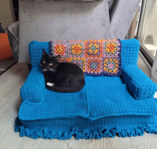 Illustration de l'article : 14 photos désopilantes de chats qui ne font décidément rien comme les autres