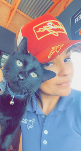 Illustration de l'article : Ce chat errant à 3 pattes trouve la "maison" parfaite, un magasin où il est devenu une star