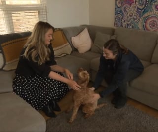Illustration de l'article : Pour cette jeune femme diabétique, Sal la Labradoodle est bien plus qu'une bouée de sauvetage