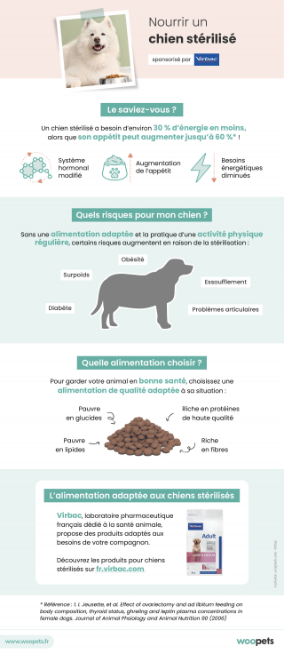 Illustration de l'article : Nourrir un chien stérilisé