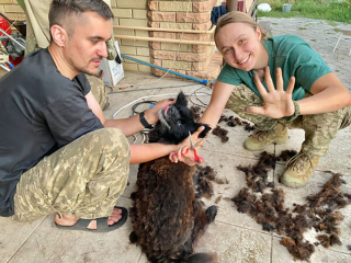 Illustration de l'article : Un couple de tireurs d’élite ukrainien sauve des animaux dans le besoin sur le champ de bataille