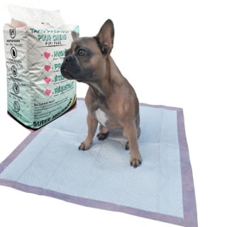 Illustration de l'article : Vous adoptez un chiot ? Accueillez-le comme il se doit avec cette sélection de produits indispensables préparée par Ooba Ooba