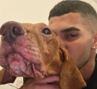 Illustration de l'article : Un footballeur célèbre son but en rendant un émouvant hommage à son défunt chien (vidéo)
