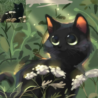 Illustration de l'article : 20 portraits de chats et de chiens "cartoonisés" par un artiste à la créativité débordante