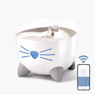 Illustration de l'article : Découvrez les 11 essentiels de l'automne pour accueillir au mieux votre nouveau chiot ou chaton