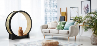 Illustration de l'article : Salon Maison & Objet 2022 : à la découverte des innovations et nouveautés au service du bien-être des animaux