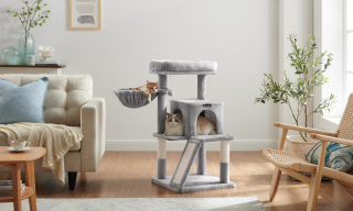 Illustration de l'article : 6 accessoires incontournables pour faciliter le quotidien de tout propriétaire de chien ou chat