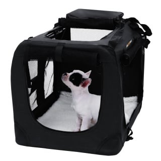 Illustration de l'article : 6 accessoires incontournables pour faciliter le quotidien de tout propriétaire de chien ou chat