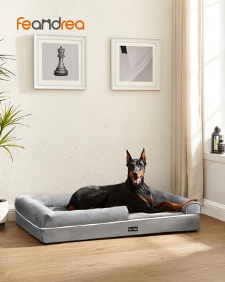 Illustration de l'article : 6 accessoires incontournables pour faciliter le quotidien de tout propriétaire de chien ou chat