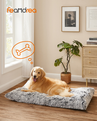 Illustration de l'article : 6 accessoires incontournables pour faciliter le quotidien de tout propriétaire de chien ou chat