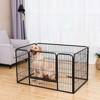 Illustration de l'article : 6 accessoires incontournables pour faciliter le quotidien de tout propriétaire de chien ou chat