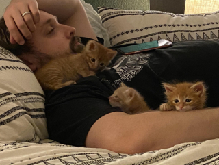 Illustration de l'article : 16 photos touchantes de papas qui ne voulaient pas d'animaux à la maison et qui en sont finalement tombés amoureux