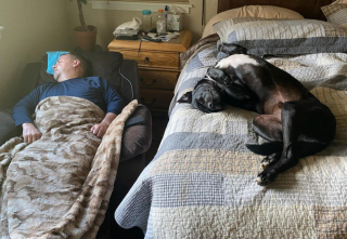 Illustration de l'article : 16 photos touchantes de papas qui ne voulaient pas d'animaux à la maison et qui en sont finalement tombés amoureux
