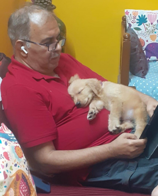 Illustration de l'article : 16 photos touchantes de papas qui ne voulaient pas d'animaux à la maison et qui en sont finalement tombés amoureux