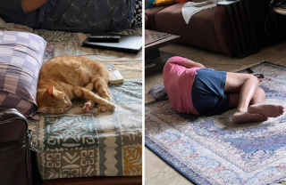 Illustration de l'article : 16 photos touchantes de papas qui ne voulaient pas d'animaux à la maison et qui en sont finalement tombés amoureux