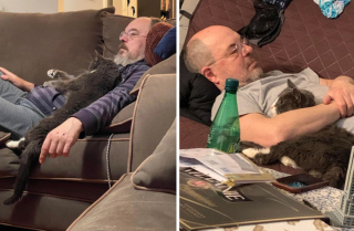 Illustration de l'article : 16 photos touchantes de papas qui ne voulaient pas d'animaux à la maison et qui en sont finalement tombés amoureux