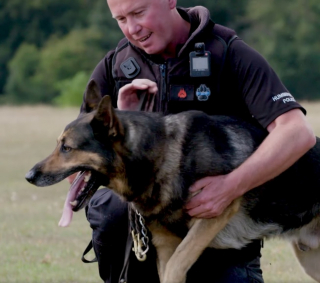 Illustration de l'article : Logan, chien retraité de la police et blessé par balles, récompensé pour sa carrière et sa bravoure