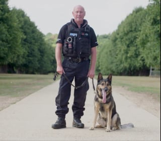 Illustration de l'article : Logan, chien retraité de la police et blessé par balles, récompensé pour sa carrière et sa bravoure