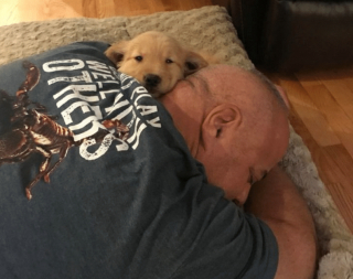 Illustration de l'article : 17 photos prouvant que les chiens n'ont aucun effort à faire pour nous attendrir