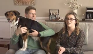 Illustration de l'article : Pris d'un malaise, un homme estime devoir sa survie miraculeuse à son héroïne de chienne