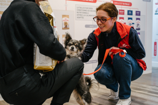 Illustration de l'article : Découvrez l’Atelier Royal Canin : un lieu d’expérience unique au service de l’animal et de son propriétaire
