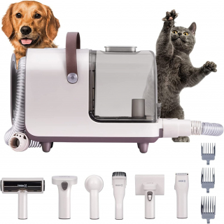 Illustration de l'article : La tondeuse pour chien qui aspire les poils : l'outil révolutionnaire pour un toilettage facile et impeccable
