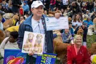 Illustration de l'article : 250 Golden Retrievers réunis en hommage à 2 chiens emblématiques du marathon de Boston