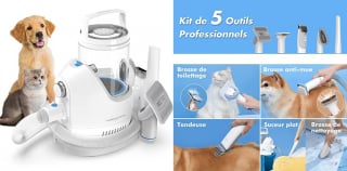 Illustration de l'article : Découvrez 3 accessoires révolutionnaires pour faciliter le toilettage de votre chien