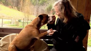 Illustration de l'article : Après avoir passé sa vie à sauver celle des autres, un chien frappé par la maladie demande de l’aide à son tour (vidéo)