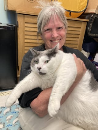 Illustration de l'article : Bonne nouvelle pour ce chat de 18 kilos qui poursuit son combat contre l’obésité extrême