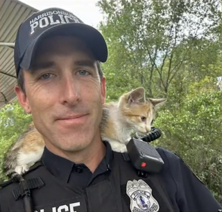 Illustration de l'article : Un policier se décrivant comme un "homme à chiens" se prend d'affection pour un chaton jeté d'une voiture