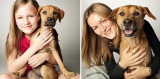 Illustration de l'article : 20 photos capturant l'évolution touchante de jeunes chiens devenus séniors