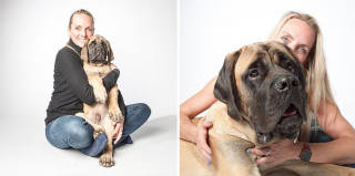 Illustration de l'article : 20 photos capturant l'évolution touchante de jeunes chiens devenus séniors