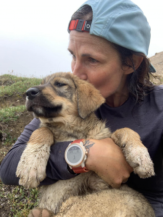 Illustration de l'article : Une athlète alsacienne revient avec émotion sur sa rencontre avec un chiot perdu au milieu des montagnes (vidéo)