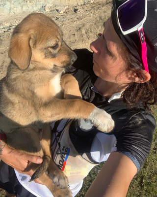 Illustration de l'article : Une athlète alsacienne revient avec émotion sur sa rencontre avec un chiot perdu au milieu des montagnes (vidéo)