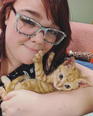 Illustration de l'article : Découvert sous une voiture en marche, un chaton terrifié mobilise tout un quartier prêt à le sauver